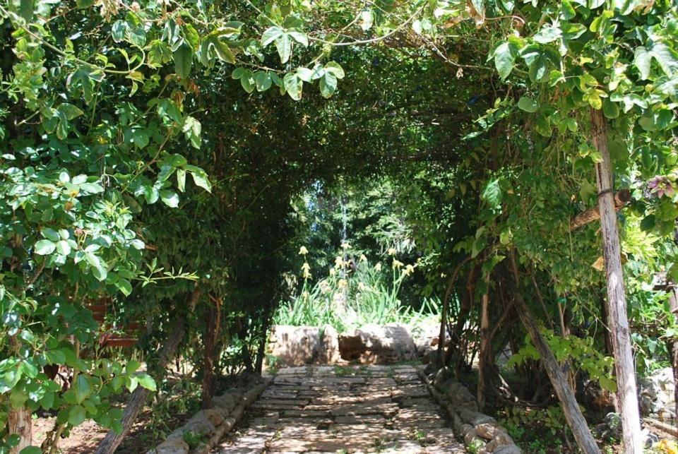 Dal Canonico Mola di Bari Buitenkant foto